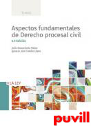 Aspectos fundamentales de Derecho procesal civil