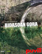 Bidasoan gora