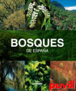 Bosques de Espaa