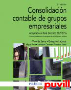 Consolidacin contable de grupos empresariales