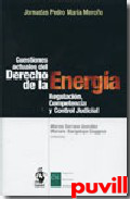 Cuestiones actuales del derecho de la energa : regulacin, competencia y control judical