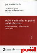 Delito y minoras en pases multiculturales : estudios jurdicos y criminolgicos comparados