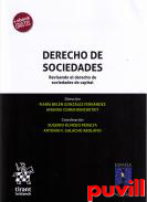 Derecho de Sociedades : revisando el derecho de sociedades de capital