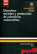 Derechos sociales y proteccin de colectivos vulnerables : tcnicas de tutela