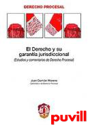 El derecho y su garanta 

jurisdiccional : (estudios y comentarios de derecho procesal)