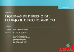 Esquemas de Derecho del trabajo, 2. Derecho sindical