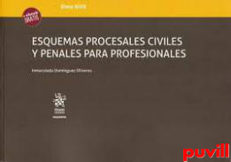 Esquemas procesales civiles y penales para profesionales