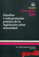 Estudios e interpretacin prctica de la legislacin sobre morosidad