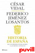 Historia de Espaa