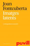 Imatges latents : la fotografia en transici