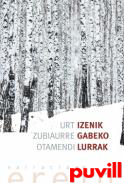 Izenik gabeko lurrak