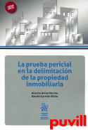 La prueba pericial en la delimitacin de la propiedad inmobiliaria