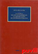 La tutela de los licitadores en la adjudicacin de contratos pblicos