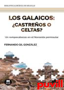 Los galaicos: castreos o celtas? : un rompecabezas en el noroeste peninsular