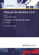 Manual de Derecho civil, 7. Derecho de daos