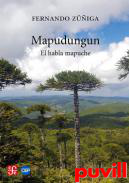 Mapudungun : El habla mapuche