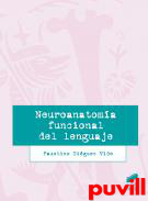 Neuroanatoma funcional del lenguaje