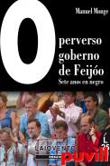 O perverso goberno de Feijo : sete anos en negro