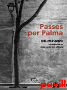 Passes per Palma