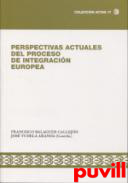 Perspectivas actuales del proceso de integracin europea