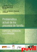 Problemtica actual de los procesos de familia : especial atencin a la prueba