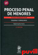 Proceso penal de menores : esqueas y formularios