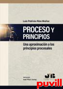 Proceso y principios : una aproximacin a los principios procesales