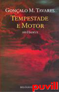 Tempestade e motor : 100 Haikus