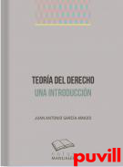 Teora del derecho : una introduccin