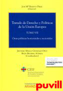 Tratado de derecho y polticas de la Unin Europea, 7. Otras polticas horizontales y sectoriales