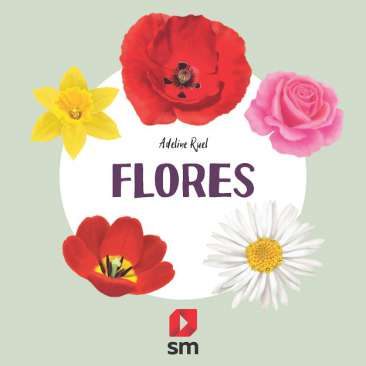 Flores