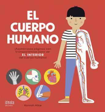 El cuerpo humano