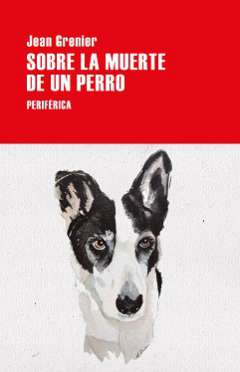 Sobre la muerte de un perro