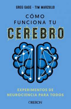 Cómo funciona tu cerebro