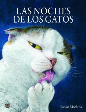 Las noches de los gatos