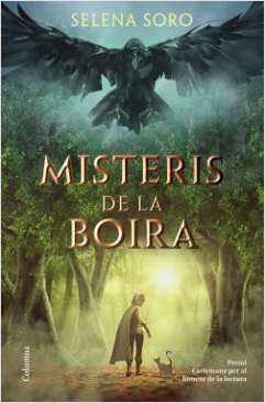 Misteris de la boira