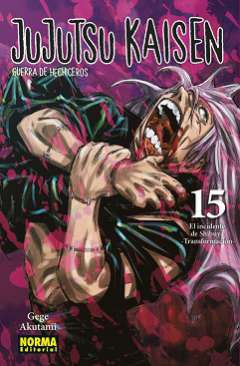 Jujutsu kaisen, guerra de hechiceros, 15