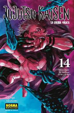 Jujutsu kaisen, la guerra màgica, 14