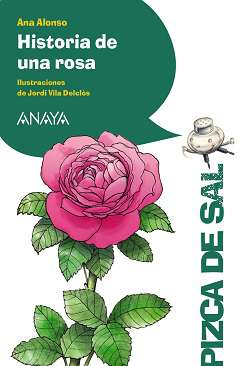 Historia de una rosa