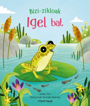 Igel bat