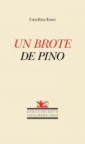 Un brote de pino